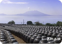黒酢本舗の壷畑から望む桜島